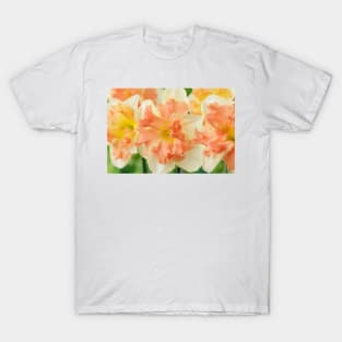 Narcissus  'Vanilla Peach'  Daffodil  Division 11a Split-corona T-Shirt